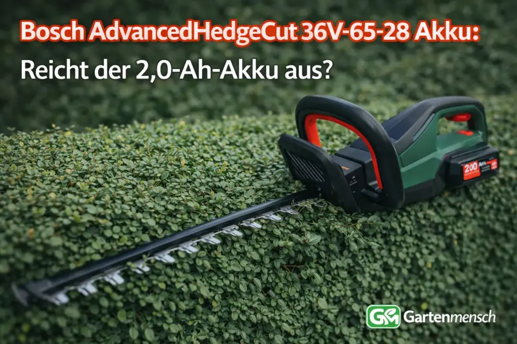 Artikelbild der Bosch AdvancedHedgeCut 36V-65-28 Akku-Heckenschere im Garten zum Thema, ob der 2,0-Ah-Akku im Alltag ausreicht – Gartenmensch