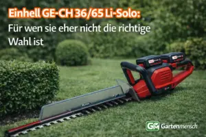 Artikelbild der Einhell GE-CH 36/65 Li-Solo Akku-Heckenschere mit eingesetzten Akkus im Garten zum Thema, für wen sie eher nicht die richtige Wahl ist – Gartenmensch