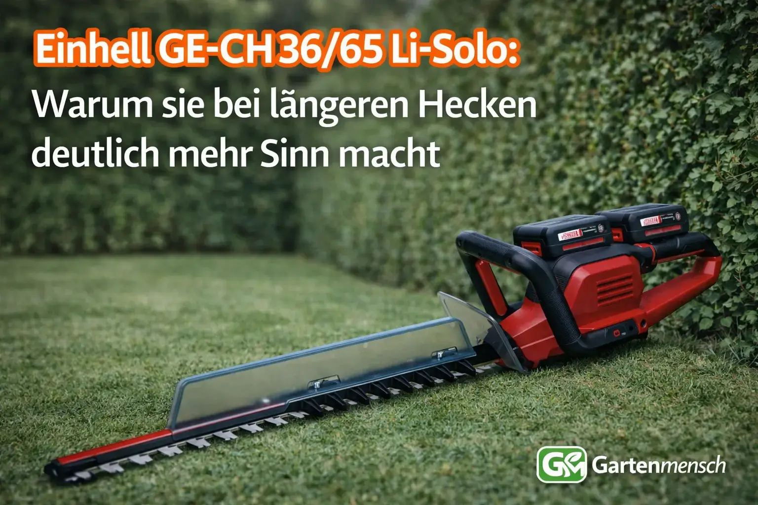 Artikelbild der Einhell GE-CH 36/65 Li-Solo Akku-Heckenschere mit eingesetzten Akkus im Garten zum Thema, für wen sie eher nicht die richtige Wahl ist – Gartenmensch