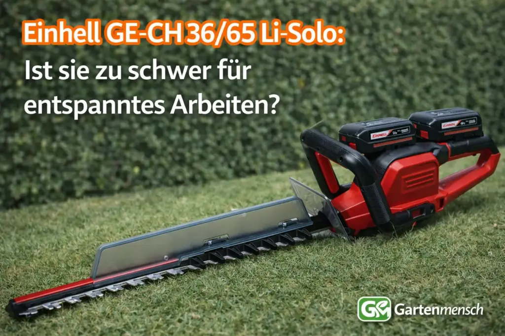 Artikelbild der Einhell GE-CH 36/65 Li-Solo Akku-Heckenschere mit eingesetzten Akkus im Garten zum Thema Gewicht und entspanntes Arbeiten – Gartenmensch