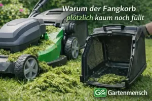 Akku-Rasenmäher mit fast leerem Fangkorb und liegen gebliebenem Schnittgut auf dem Rasen – typisches Fangkorb-Problem bei Gartenmensch