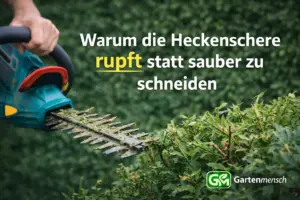 Akku-Heckenschere mit verschmutzten Messern beim unsauberen Heckenschnitt – warum die Heckenschere rupft statt sauber zu schneiden, Gartenmensch
